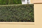 Botanic Ridgebarrier-wall-fencing-2.jpg; ?>